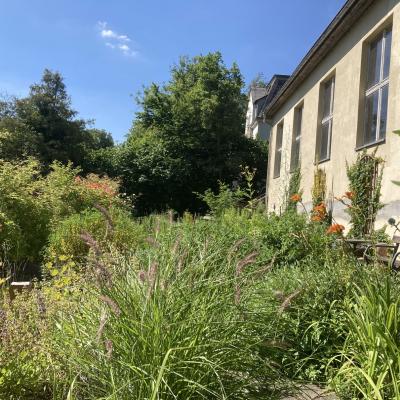 Das Atelier Sommer 2024 03