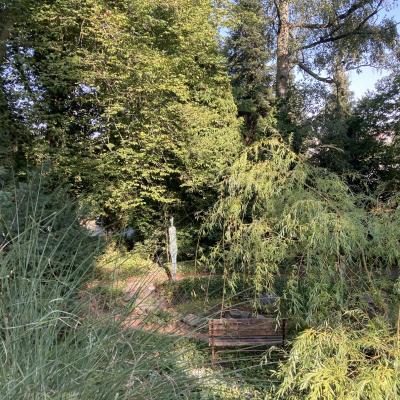 Das Atelier Sommer 2024 10